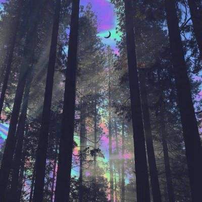 ag旗舰厅客户端下载