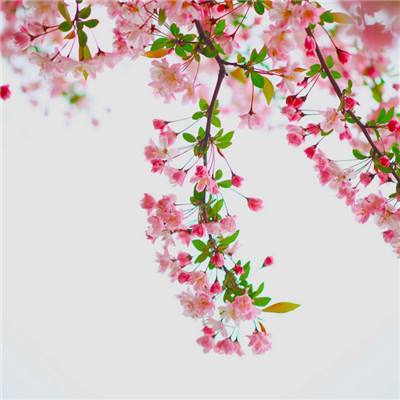 风云体育app下载安装苹果