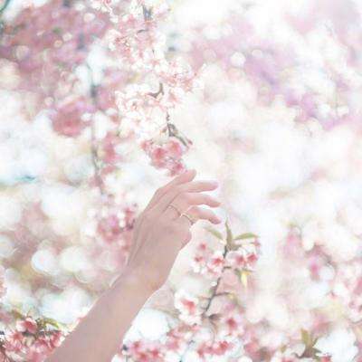 风云体育app下载安装苹果