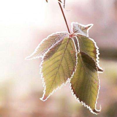 ag旗舰厅客户端下载截图